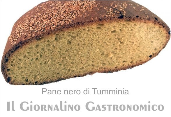 tumminia